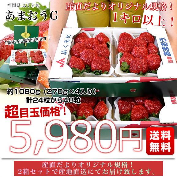 福岡県より産地直送 JAくるめ あまおうG 1キロ以上 約1080g（270g×4入り）計24粒から48粒 送料無料 苺 いちご あまおう イチゴ ストロベリー from九州03