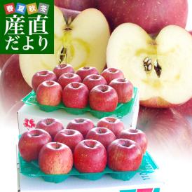 りんごのプロが味優先で選んだ美味りんご!