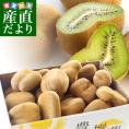 香川県より産地直送 JA香川県 キウイフルーツ 香緑(こうりょく) 　訳あり品　約3キロ　(15から30玉前後) 送料無料