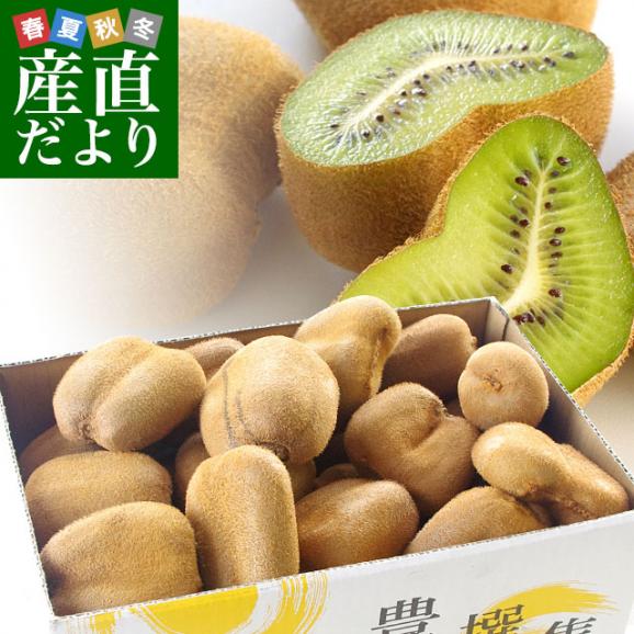 最新デザインの 香川県より産地直送 JA香川県 キウイフルーツ 香緑(こうりょく 果物
