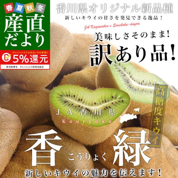 【即納&大特価】 香川県より産地直送 JA香川県 香緑(こうりょく キウイフルーツ 果物