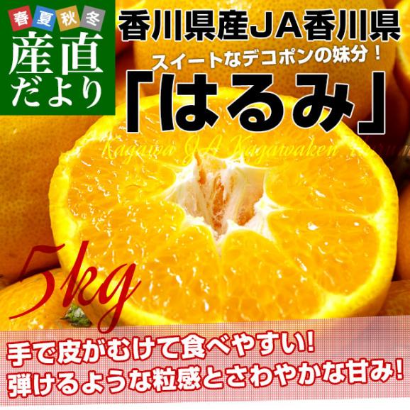 香川県より産地直送 JA香川県 はるみ Mから3L ちょっと訳あり 5キロ(12から28玉前後) 柑橘 オレンジ ハルミ02