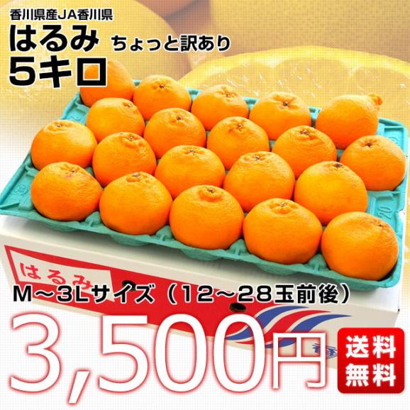 香川県より産地直送 JA香川県 はるみ Mから3L ちょっと訳あり 5キロ(12から28玉前後) 柑橘 オレンジ ハルミ03