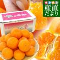 長崎県より産地直送 JA長崎せいひ 津之輝(つのかがやき) 3LからLサイズ 優品以上 2.5キロ (10玉から25玉) 柑橘 オレンジ 津の輝　from九州
