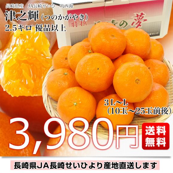 長崎県より産地直送 JA長崎せいひ 津之輝(つのかがやき) 3LからLサイズ 優品以上 2.5キロ (10玉から25玉) 柑橘 オレンジ 津の輝　from九州03