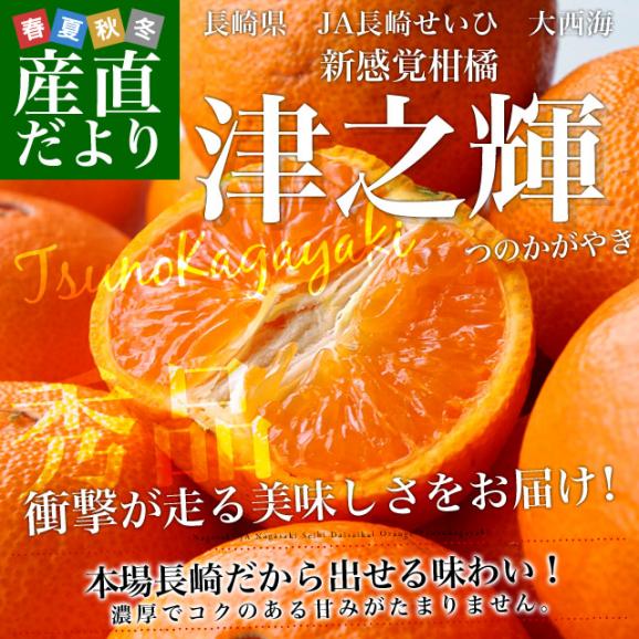 長崎県より産地直送 JA長崎せいひ 津之輝(つのかがやき) 3LからLサイズ 秀品 2.5キロ (10玉から25玉) 送料無料 柑橘 オレンジ 津の輝 西彼 伊木力 大西海02