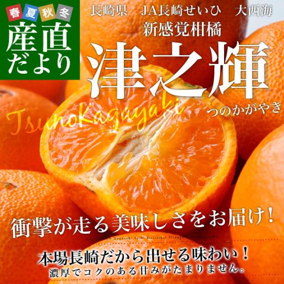 長崎県より産地直送 JA長崎せいひ 津之輝(つのかがやき) 3LからLサイズ 優品 5キロ (30玉から48玉) 送料無料 柑橘 オレンジ 津の輝 西彼 伊木力 大西海02