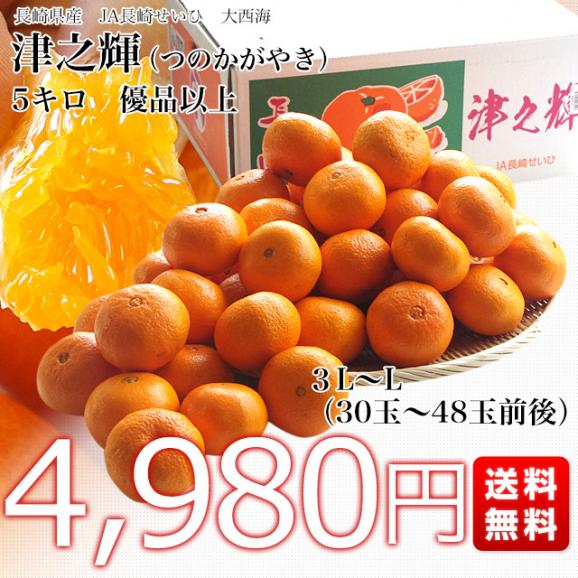 長崎県より産地直送 JA長崎せいひ 津之輝(つのかがやき) 3LからLサイズ 優品 5キロ (30玉から48玉) 送料無料 柑橘 オレンジ 津の輝 西彼 伊木力 大西海03