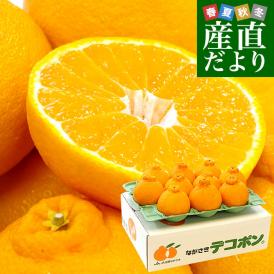 長崎県より産地直送 JA長崎せいひ デコポン 優品  4ＬからＬサイズ 3キロ (8玉から15玉) 送料無料 柑橘 かんきつ