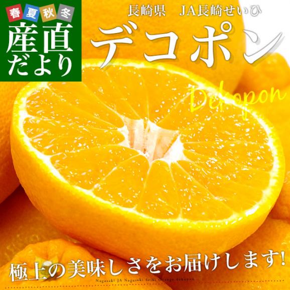 長崎県より産地直送 JA長崎せいひ デコポン 優品  4ＬからＬサイズ 3キロ (8玉から15玉) 送料無料 柑橘 かんきつ02