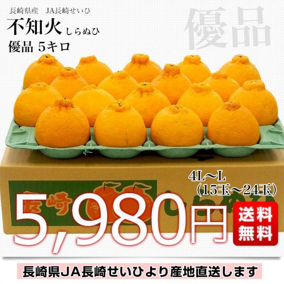 最安挑戦！ 長崎県より産地直送 JA長崎せいひ 不知火 (しらぬひ) 優品 4L 果物
