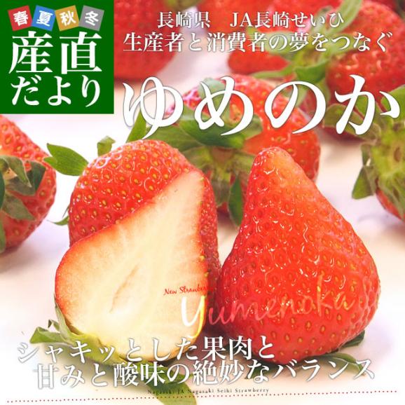 長崎県より産地直送 JA長崎せいひ　ゆめのか 1箱 約500g (250g×2パック 入り) 合計18粒から30粒入り 送料無料　苺 イチゴ　from九州02
