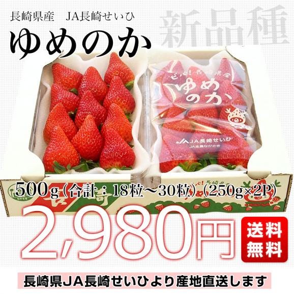 長崎県より産地直送 JA長崎せいひ 期待の新品種いちご ゆめのか 1箱 約500g (250g×2パック 入り) 合計18粒から30粒入り 送料無料　苺 イチゴ03