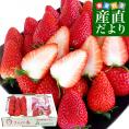 静岡県より産地直送 JAふじ伊豆 プレミアムいちご きらぴ香 DX 約520g（約260g×2P） 送料無料 DXタイプ 苺 イチゴ ※クール便発送