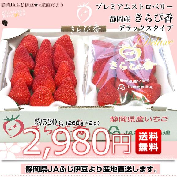 静岡県より産地直送 JAふじ伊豆 プレミアムいちご きらぴ香 DX 約520g（約260g×2P） 送料無料 DXタイプ 苺 イチゴ ※クール便発送03
