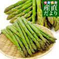 香川県より産地直送 JA香川県 初物アスパラ さぬきのめざめ (春芽・初物) Lサイズ 約700g (25から40本前後) 送料無料  丸亀市他 アスパラガス
