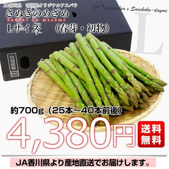 香川県より産地直送 JA香川県 初物アスパラ さぬきのめざめ (春芽・初物) Lサイズ 約700g (25から40本前後) 送料無料  丸亀市他 アスパラガス03