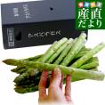 香川県より産地直送 JA香川県 初物アスパラ さぬきのめざめ (春芽・初物) 2Lサイズ以上 約700g (14から25本前後) 送料無料 丸亀市他 アスパラガス
