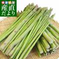 香川県より産地直送　JA香川県　訳ありアスパラ さぬきのめざめ 大小込　約1キロ　送料無料　丸亀市他