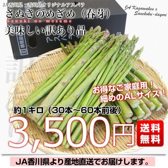 香川県より産地直送　JA香川県　訳ありアスパラ さぬきのめざめ 大小込　約1キロ　送料無料　丸亀市他03
