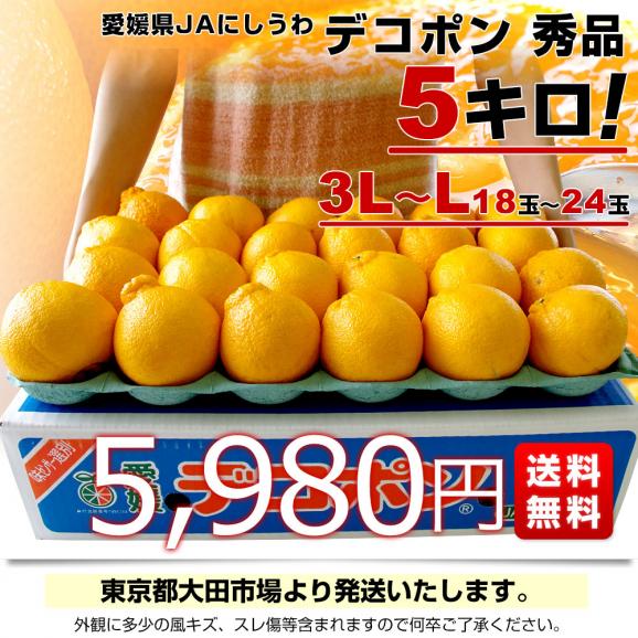 愛媛県 JAにしうわ デコポン 秀品 3LからLサイズ 5キロ（18玉から24玉前後）送料無料 でこぽん 柑橘 オレンジ 西宇和 八幡浜03