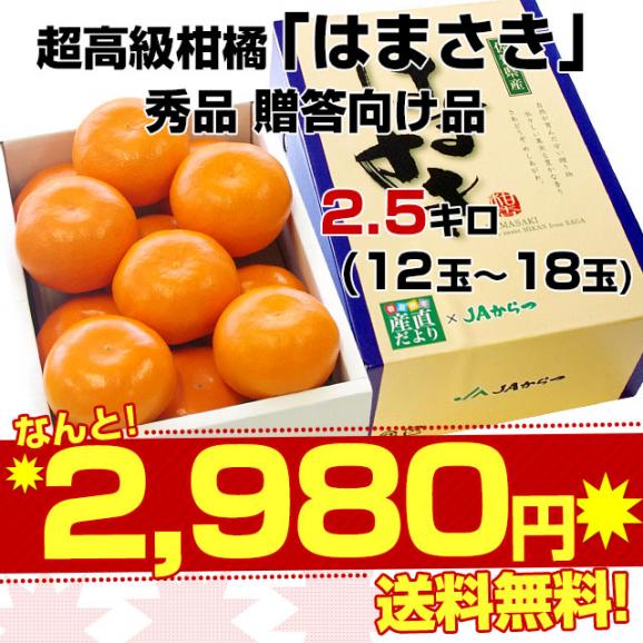 佐賀県産 JAからつ はまさき 秀品 LからSサイズ 約2.5キロ (12から18玉前後) 市場発送 送料無料 柑橘 オレンジ 唐津 浜崎03