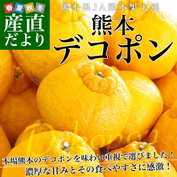 送料無料　熊本県産　JA熊本果実連　露地栽培デコポン　２LからLサイズ　5キロ　（20から24玉）柑橘　オレンジ　市場スポット02