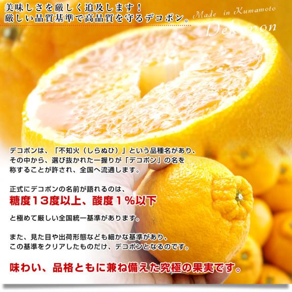 送料無料　熊本県産　JA熊本果実連　露地栽培デコポン　２LからLサイズ　5キロ　（20から24玉）柑橘　オレンジ　市場スポット05