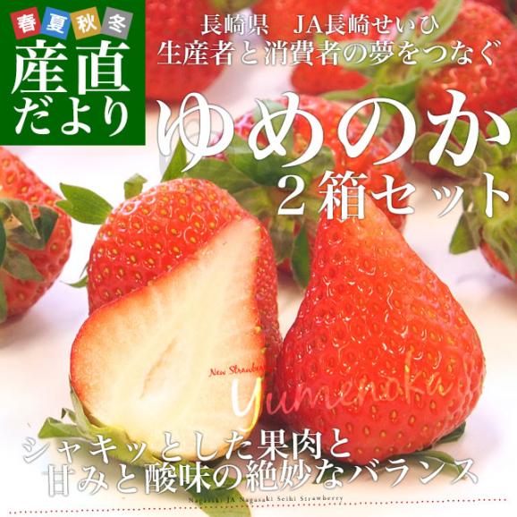 長崎県より産地直送 JA長崎せいひ ゆめのか 約500g × 2箱セット ((250g×2P)×2箱) (合計18から30粒入り×2箱) 送料無料イチゴ　苺　from九州02