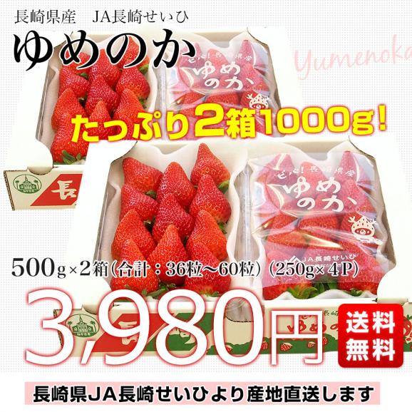 長崎県より産地直送 JA長崎せいひ ゆめのか 約500g × 2箱セット ((250g×2P)×2箱) (合計18から30粒入り×2箱) 送料無料イチゴ　苺　from九州03