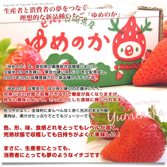 長崎県より産地直送 JA長崎せいひ 期待の新品種いちご ゆめのか 約500g × 2箱セット ((250g×2P)×2箱) (合計18から30粒入り×2箱) 送料無料 イチゴ 苺04
