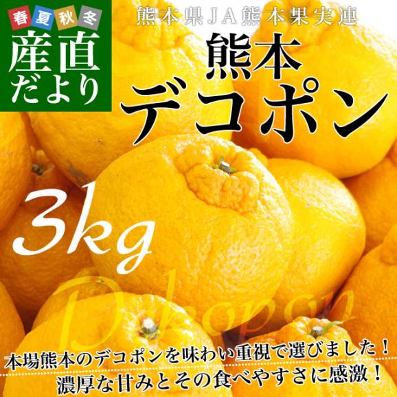 送料無料　熊本県産　JA熊本果実連　露地栽培デコポン　２LからLサイズ　3キロ　（12から15玉）柑橘　オレンジ　市場スポット02