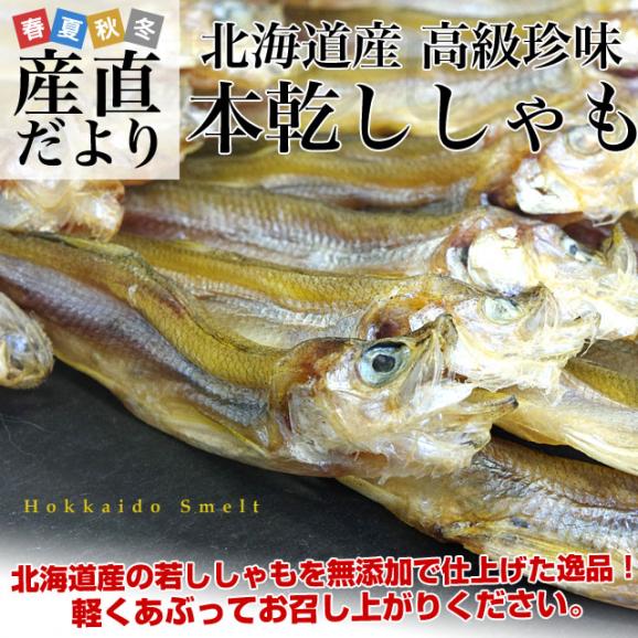 送料無料　北海道から直送　北海道産　高級珍味　本乾ししゃも　4袋セット（25g×4P）　柳葉魚　シシャモ02