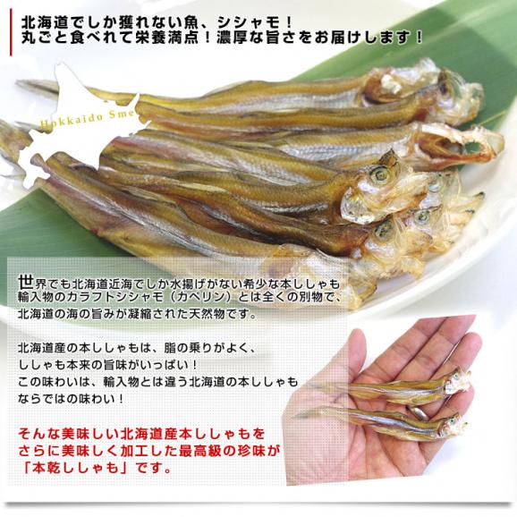 送料無料　北海道から直送　北海道産　高級珍味　本乾ししゃも　4袋セット（25g×4P）　柳葉魚　シシャモ04