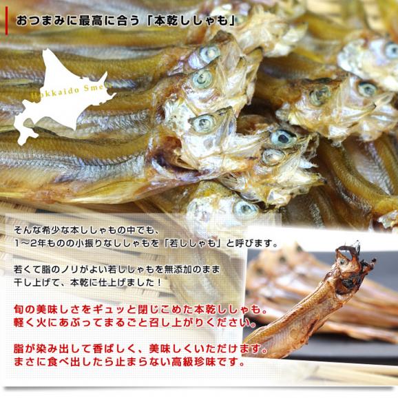 送料無料　北海道から直送　北海道産　高級珍味　本乾ししゃも　4袋セット（25g×4P）　柳葉魚　シシャモ05