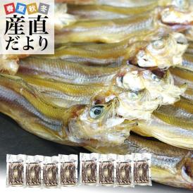 送料無料　北海道から直送　北海道産　高級珍味　本乾ししゃも　８袋セット（25g×8P）　柳葉魚　シシャモ