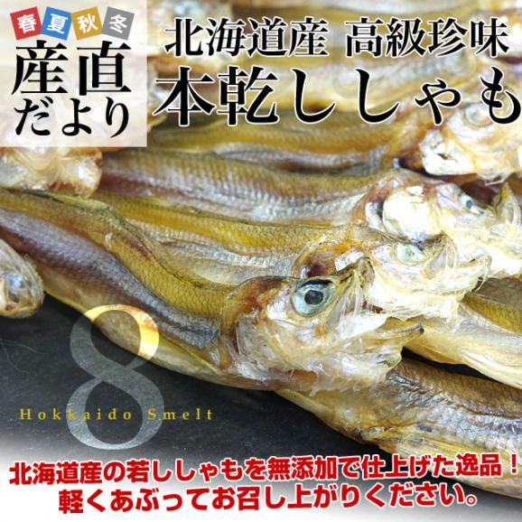 送料無料　北海道から直送　北海道産　高級珍味　本乾ししゃも　８袋セット（25g×8P）　柳葉魚　シシャモ02