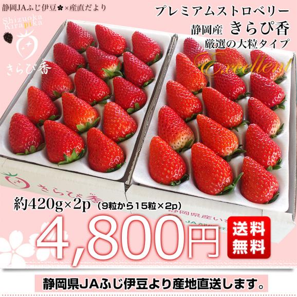静岡県より産地直送 JAふじ伊豆 プレミアムいちご きらぴ香 大粒 約420g&times;2p (9粒から15粒入り&times;2P) 送料無料 苺 いちご イチゴ ※クール便発送03