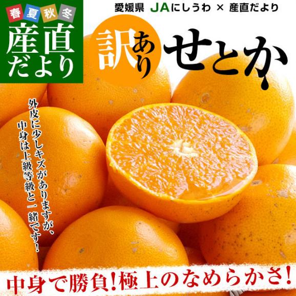 愛媛県産 JAにしうわ 訳ありせとか 5キロ 3LからMサイズ(16玉から30玉前後) 送料無料 市場スポット セトカ 西宇和02
