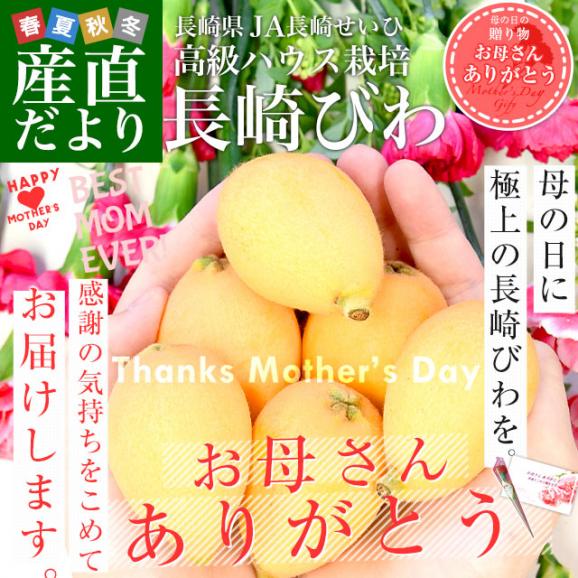 【遅れてごめんね母の日】母の日ギフト 長崎県より産地直送 JA長崎せいひ 高級ハウス栽培 長崎びわ 500g化粧箱 3LからLサイズ (8玉から12玉) 送料無料 母の日びわ 長崎ビワ 茂木びわ02