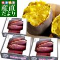 茨城県より産地直送 JAなめがたしおさい さつまいも「熟成紅こがね」 SからSSサイズ 約1キロ（5本から10本）3箱セット 送料無料 行方 薩摩芋