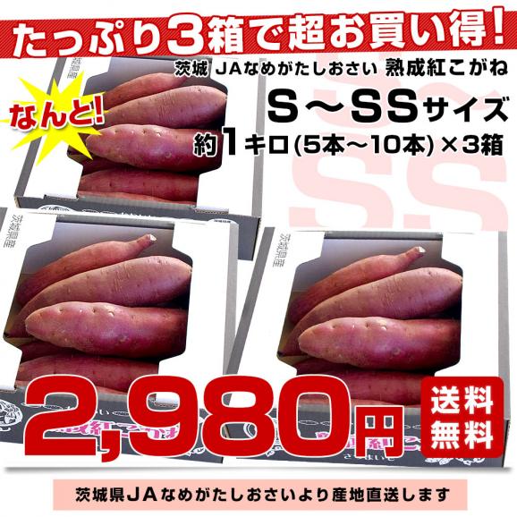 茨城県より産地直送 JAなめがたしおさい さつまいも「熟成紅こがね」 SからSSサイズ 約1キロ（5本から10本）3箱セット 送料無料 行方 薩摩芋03