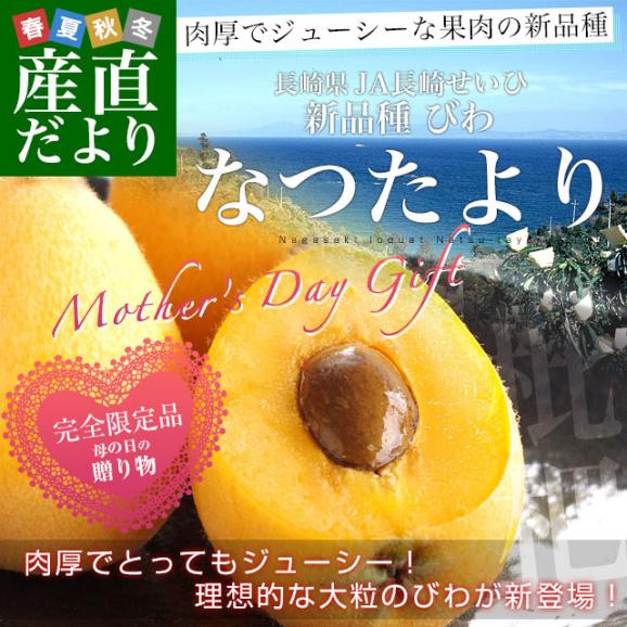 遅れてごめんね母の日ギフト 長崎県より産地直送 JA長崎せいひ 長崎びわ なつたより 秀品 1キロ化粧箱 (12玉から15玉) 送料無料 枇杷 母の日びわ02