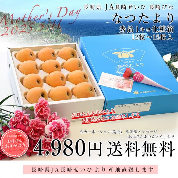 遅れてごめんね母の日ギフト 長崎県より産地直送 JA長崎せいひ 長崎びわ なつたより 秀品 1キロ化粧箱 (12玉から15玉) 送料無料 枇杷 母の日びわ03