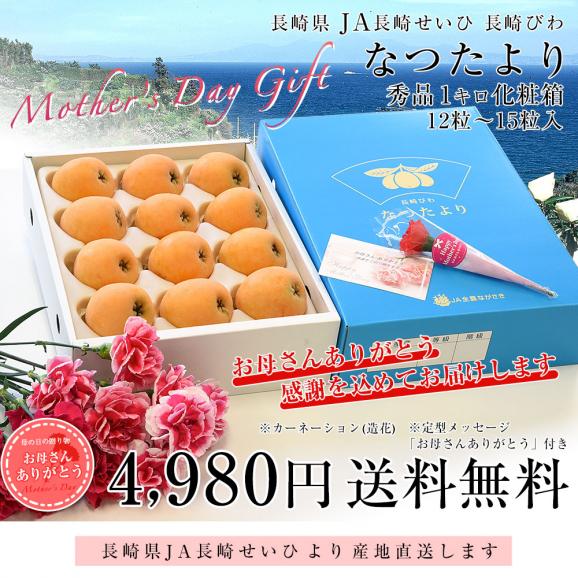 【母の日ギフト】長崎県より産地直送 JA長崎せいひ 長崎びわ なつたより 秀品 1キロ化粧箱 (12玉から15玉) 送料無料 枇杷 母の日びわ 03