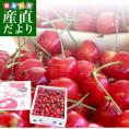 山梨県より産地直送 JA南アルプス市 さくらんぼ「高砂（たかさご）」秀品 1キロ 送料無料