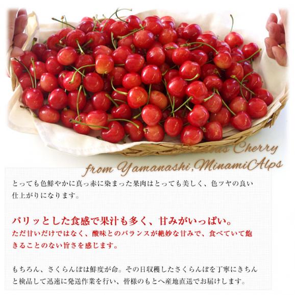 山梨県より産地直送 JA南アルプス市 さくらんぼ「高砂（たかさご）」秀品 1キロ 送料無料06