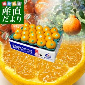 送料無料　熊本県から産地直送　JAあまくさ　貯蔵デコポン　2LからL　5キロ（20玉から24玉） Pプラス鮮度保持袋入り