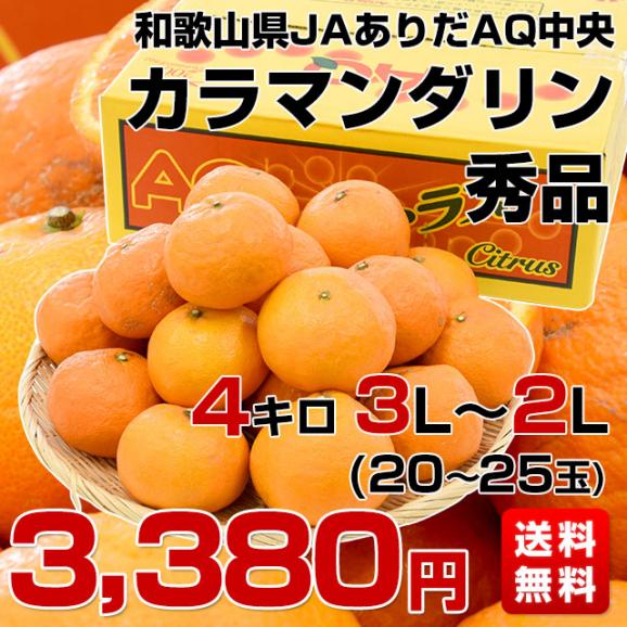 送料無料　JAありだAQ中央共選　カラマンダリン　秀品　3Lから2Lサイズ　4キロ（20から25玉前後）　柑橘　かんきつ　蜜柑　みかん　市場スポット03