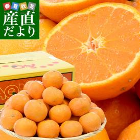 送料無料　JAありだAQ中央共選　カラマンダリン　秀品　LからMサイズ　5キロ（35から45玉前後） 柑橘　かんきつ　蜜柑　みかん　市場スポット